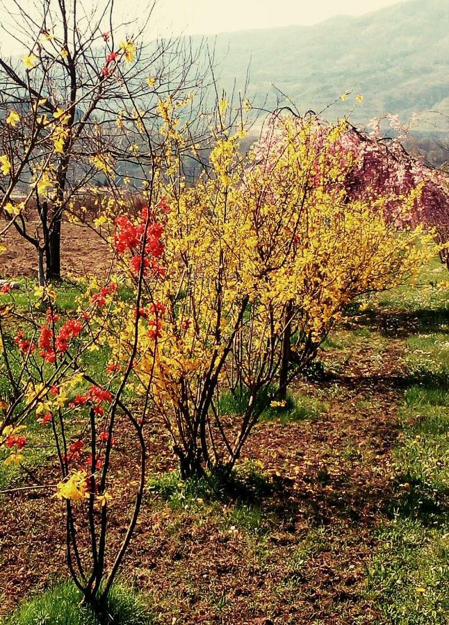 Fontanafredda La Fonte B&B 외부 사진
